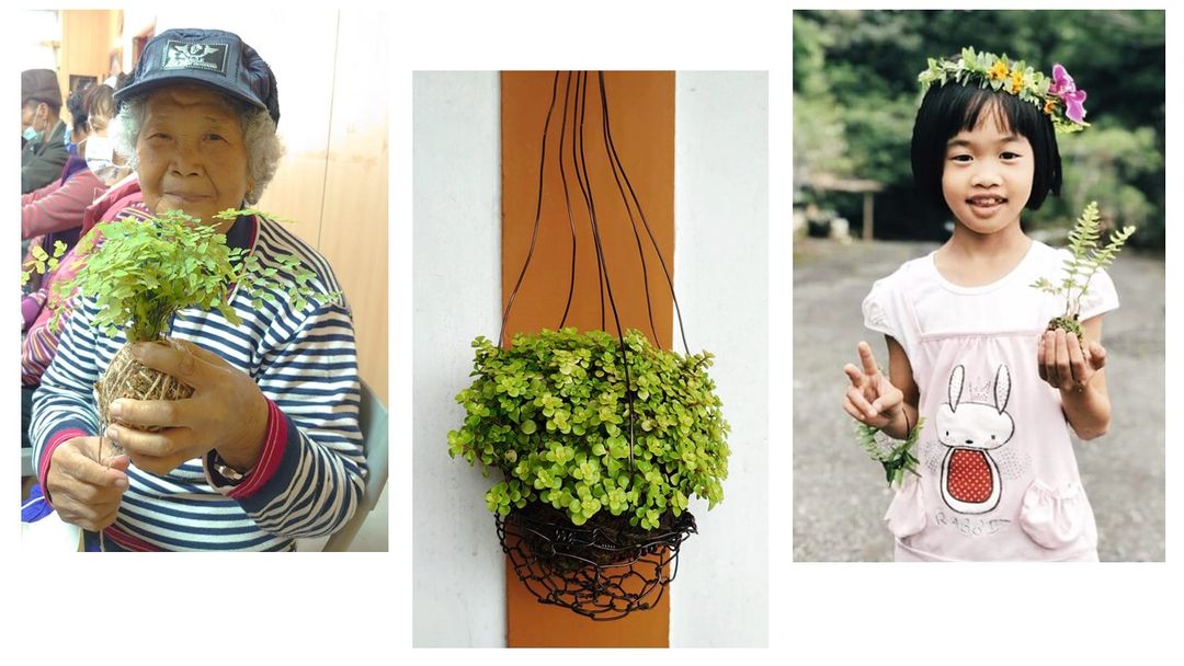 <p>課程時間：8/6(六)</p><p>場次：11:00、13:00、14:30、15:30</p><p>報名限制：適合3~100歲＊每次進行人數最多６人*</p><p>指導老師：賴美伶老師(森活之村 Heal &amp; Hill)</p><p>【課程內容】</p><p>將更多的綠意帶進生活中，營造自己的療癒空間</p><p>(1)介紹植物與人類生活的關係— 從認識、接觸到簡單的生活運用</p><p>(2)動手做一棵美麗的水苔球，為自己的生活帶來更多綠意盎然。</p>