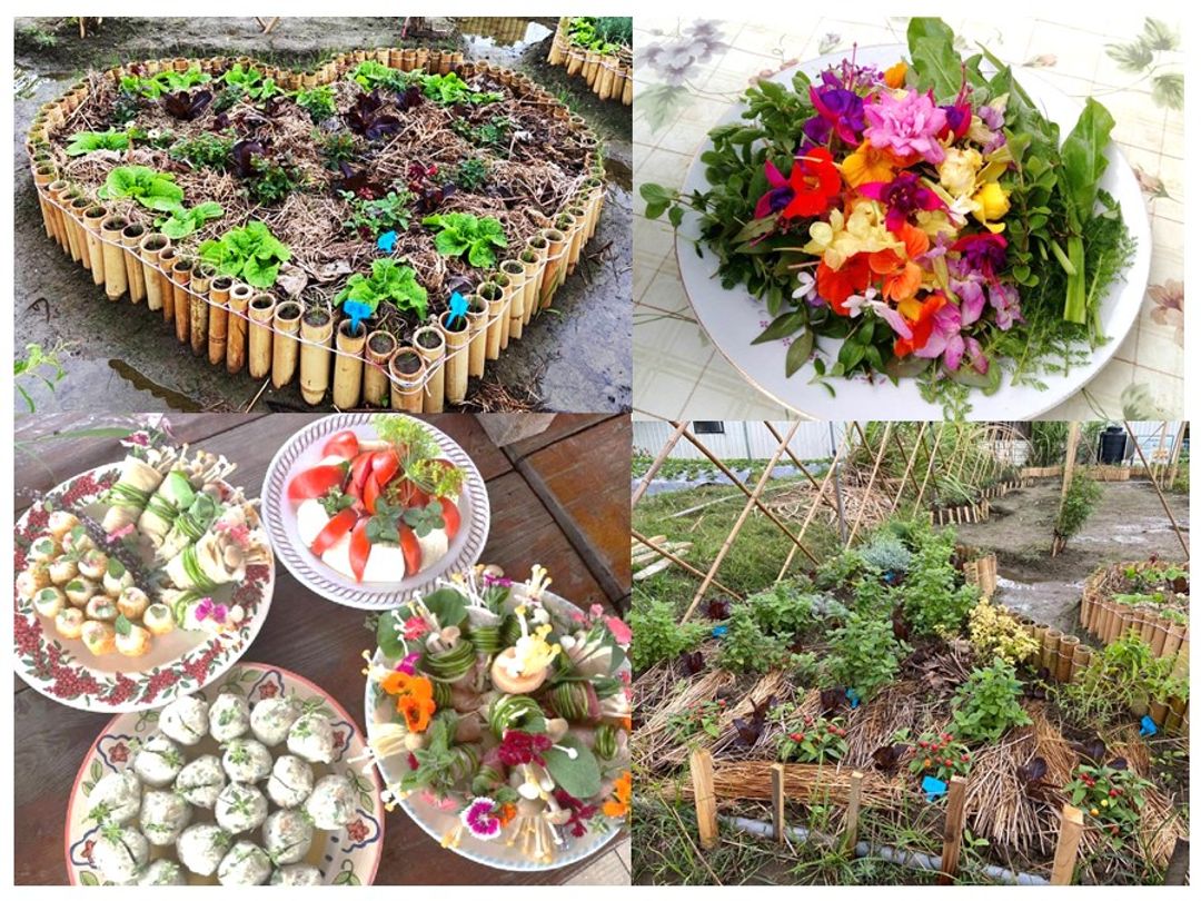 <p class="ql-align-center">課程時間：8/7(日) 上午10:00-13:00</p><p class="ql-align-center">指導老師：小熊老師</p><p class="ql-align-center">【課程內容】</p><p class="ql-align-center">❶ 香草養護與修剪</p><p class="ql-align-center">❷ 香草火鍋DIY</p><p class="ql-align-center">❸ 香草花應用、茗複方香草茶飲</p><p class="ql-align-center">＊注意事項：須自備碗筷、小茶杯</p>